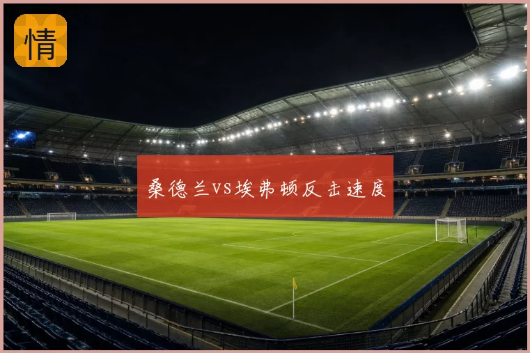 桑德兰vs埃弗顿反击速度